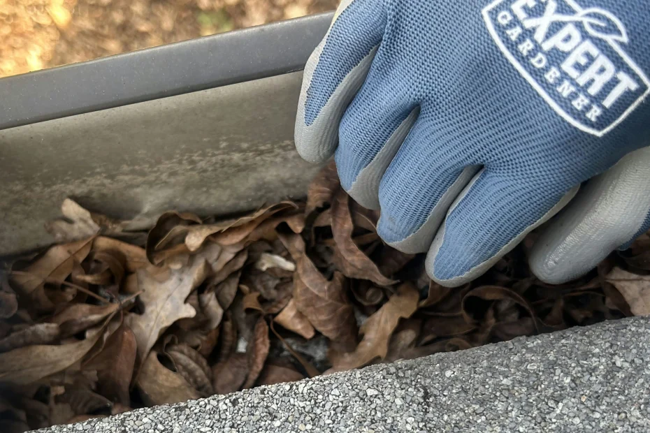 Gutter Cleaning Plainfield IN