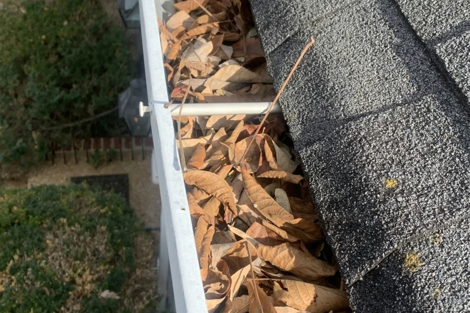 Gutter Cleaning Plainfield IN