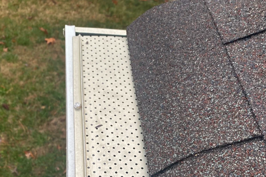 Gutter Cleaning Plainfield IN